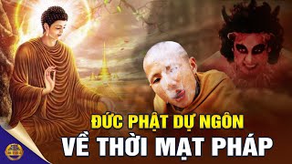 Mạt Pháp Là Gì? Dự Ngôn Của Đức Phật Thích Ca Vào Thời Này Có Ứng Nghiệm Hay Không? Đông Tây Kim Cổ