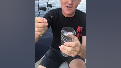 Circle Hooks Explained