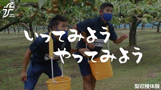 【公式】いってみようやってみよう「梨収穫体験」編