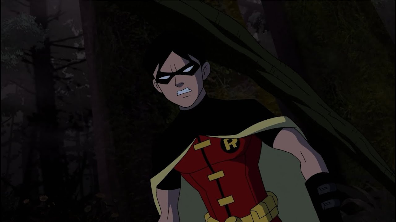 Robin (Dick) Fight Scenes - Young Justice Season 1 and 3