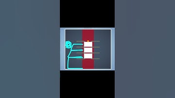 Brain it on level 165 with 3 star.👍 #brainiton #shorts