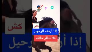 رايكم صح او خطا سؤال  مهم  طريف طرافة تسلية