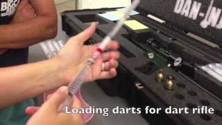 Dart Rifle and Jab Stick Training