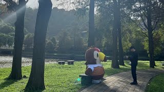 【突發直播】野外露出！？公園野生大嘴鳥！