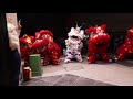 The hotpot palace canley heights  5 lions  jun 2020  aus jing yee lion dance