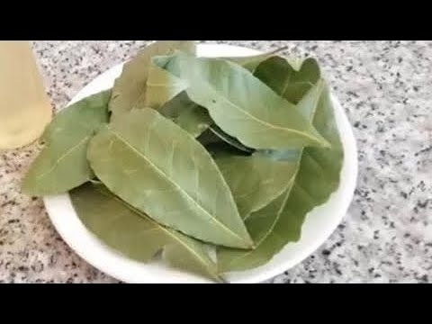يوم الجمعة بخري بها بيتك قسما بالله تملأ البيت رزق و خيرات وتفك عنك كل سحر و العكوسات، بعشبة ربانية