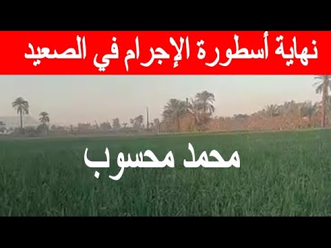 محمد محسوب نهاية أسطورة الإجرام في الصعيد حقائق صادمة تكشف لأول مرة بث مباشر بوتيك الاسطورة