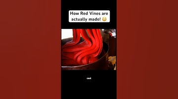 How Red Vines are actually made! 😳 #twizzler #licorice #twizzlers