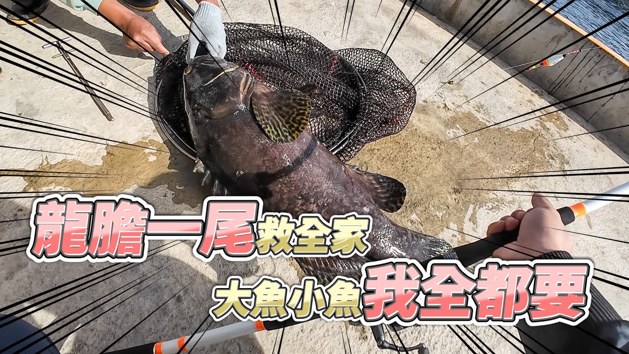 【台客去釣魚】賺了！大魚小魚我通通要！這回終於讓我盤了一次海釣場老闆了！ feat.2次高潮海釣場-八里場