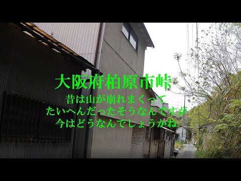 大阪府柏原市峠 昔は山が崩れまくってたいへんだったそうなんですが今はどうなんでしょうかね