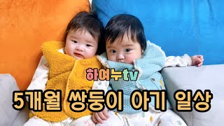 [9화 5개월 쌍둥이 아기 하여누 일상][쌍둥이 육아일기]