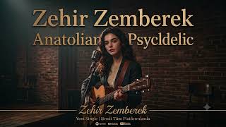 ZeRRe • Zehir Zemberek 