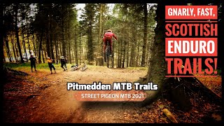 These trails are UNREAL! | Pitmedden MTB