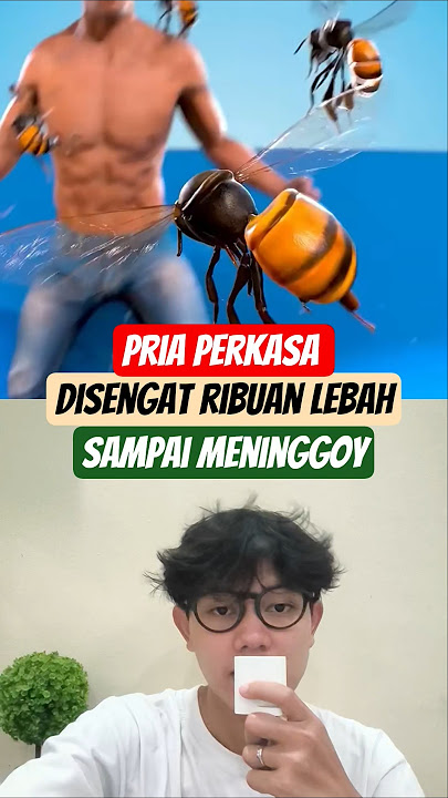 Disengat rubuan lebah sampai pindah alam #lebah #tawonliar #animals #wildanimals #shorts