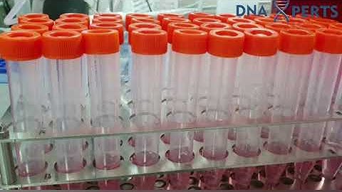 VTM  manufacturing at DNA Xperts