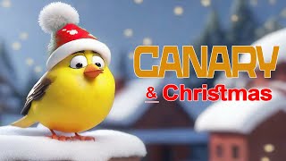 Canary & Co - Christmas Time Laugh