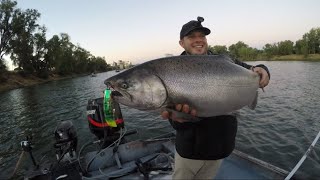 2022 Salmon Season Is Finally Here (Sac River)