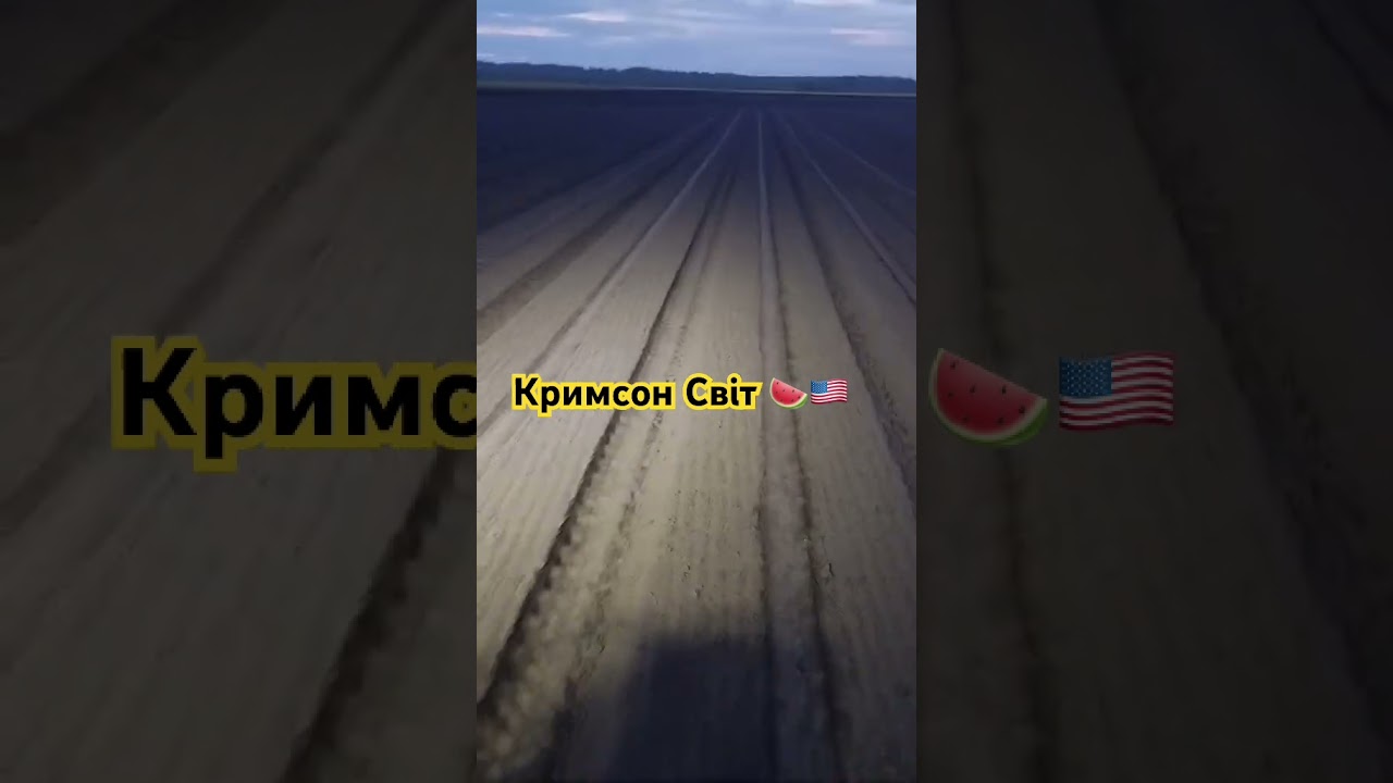 Висівають кавун Кримсон Світ від Innova Seeds 🍉🇺🇸