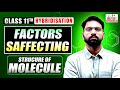 🧪 Class 11 Chemistry Hybridisation | Factors Affecting Structure of Molecule Explained in Hindi