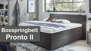 Boxspringbett Pronto Ii Bei Teppich Stark