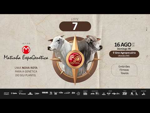 LOTE 07 RDM B5296