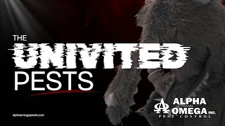 Uninvited Pests | Pest Control in Burleson, TX (Alpha & Omega Pest Control)