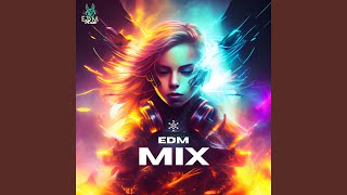 EDM Mix - EDM MUSIC