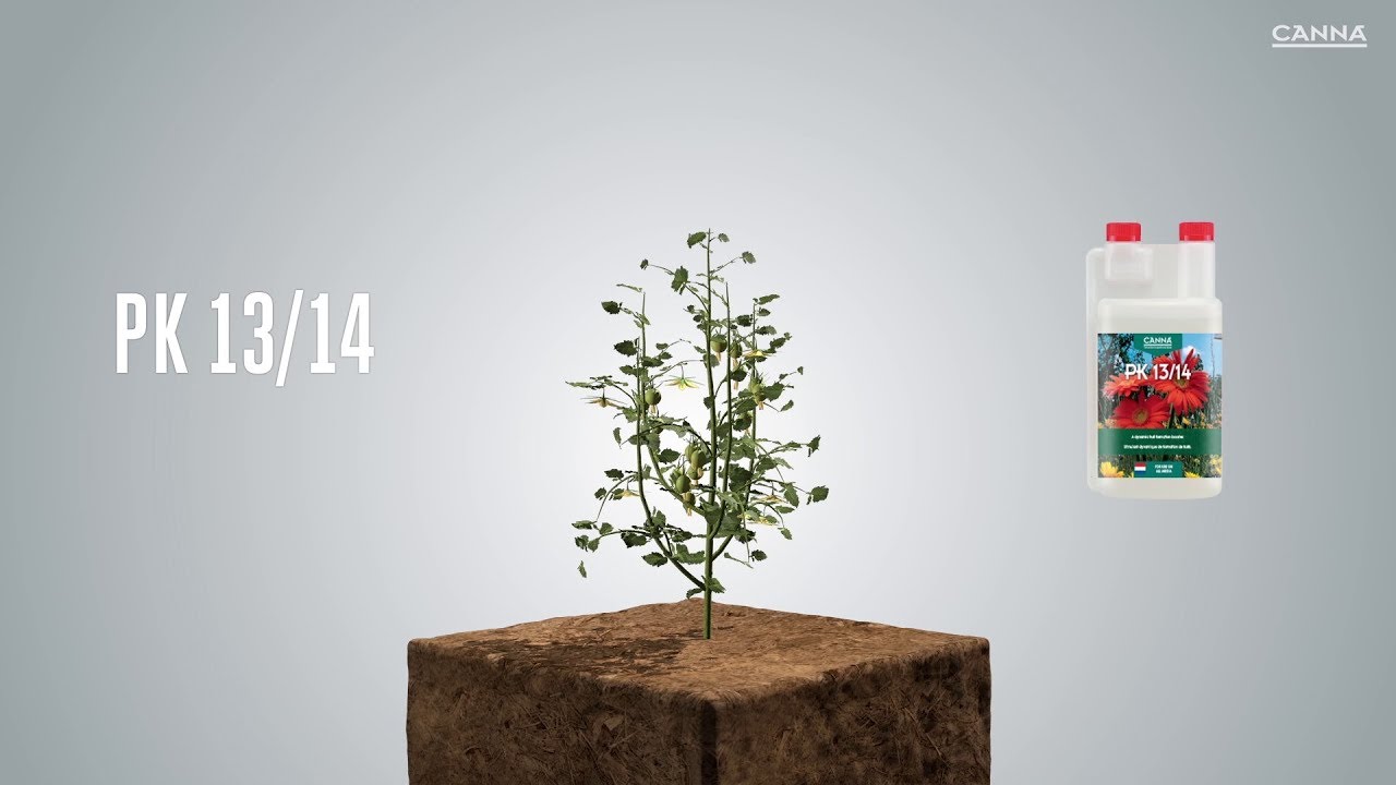CANNA PK 13/14 - YouTube