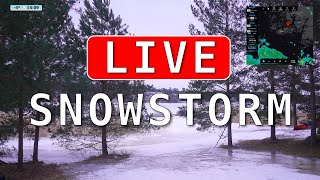 WINTER SNOWSTORM LIVE | Nauvo, Finland | 13.02.2024