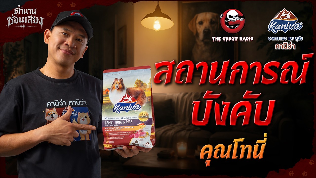 สถานการณ์บังคับ • คุณโทนี่ | ตำนานซ่อนเสียง | สนับสนุนโดยอาหารแมวและสุนัข คานิว่า