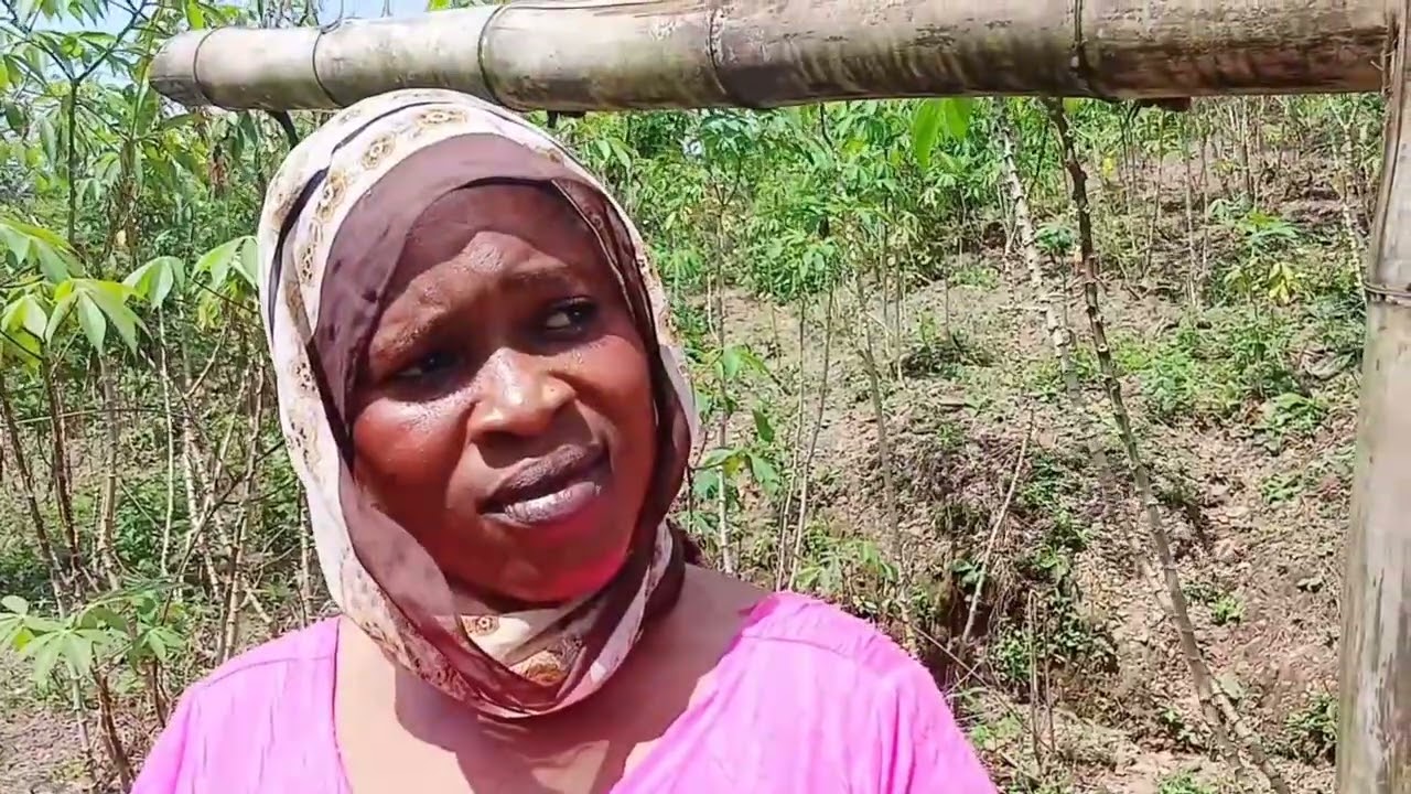 Maraña jurídica 12