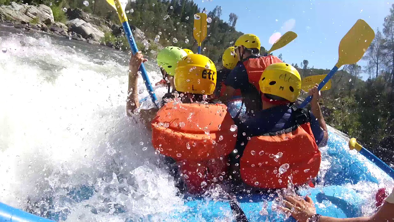 Environmental Traveling Companions - BKF