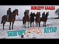 Өзгөндүн "ЗВЕЗДА" Аттары Чыкты САТУУГА Красный Маяк 01/02/2021