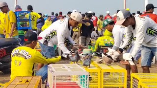 GRAND FINAL, HARI JADI GHOIB WISANGGENI CUP II LAPAK MORENA PEKALONGAN