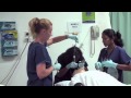 Vortex in action pt 1 rsi in the emergency department