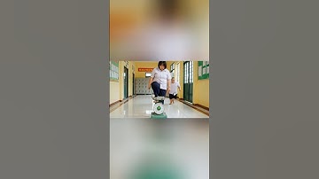 Weasel helps capybara win the weight contest #ai #veo3 #trending #funny #capybara #shorts