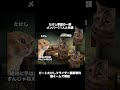 【猫ミーム】ビートたけしのフライデー襲撃事件