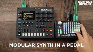 Empress Effects Zoia Modular Synthesizer And Effects Device In A Pedal