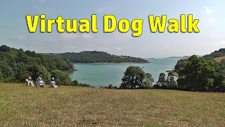 Walk Your Dog TV : Virtual Dog Walk - Summer Day Walking or Treadmill Video