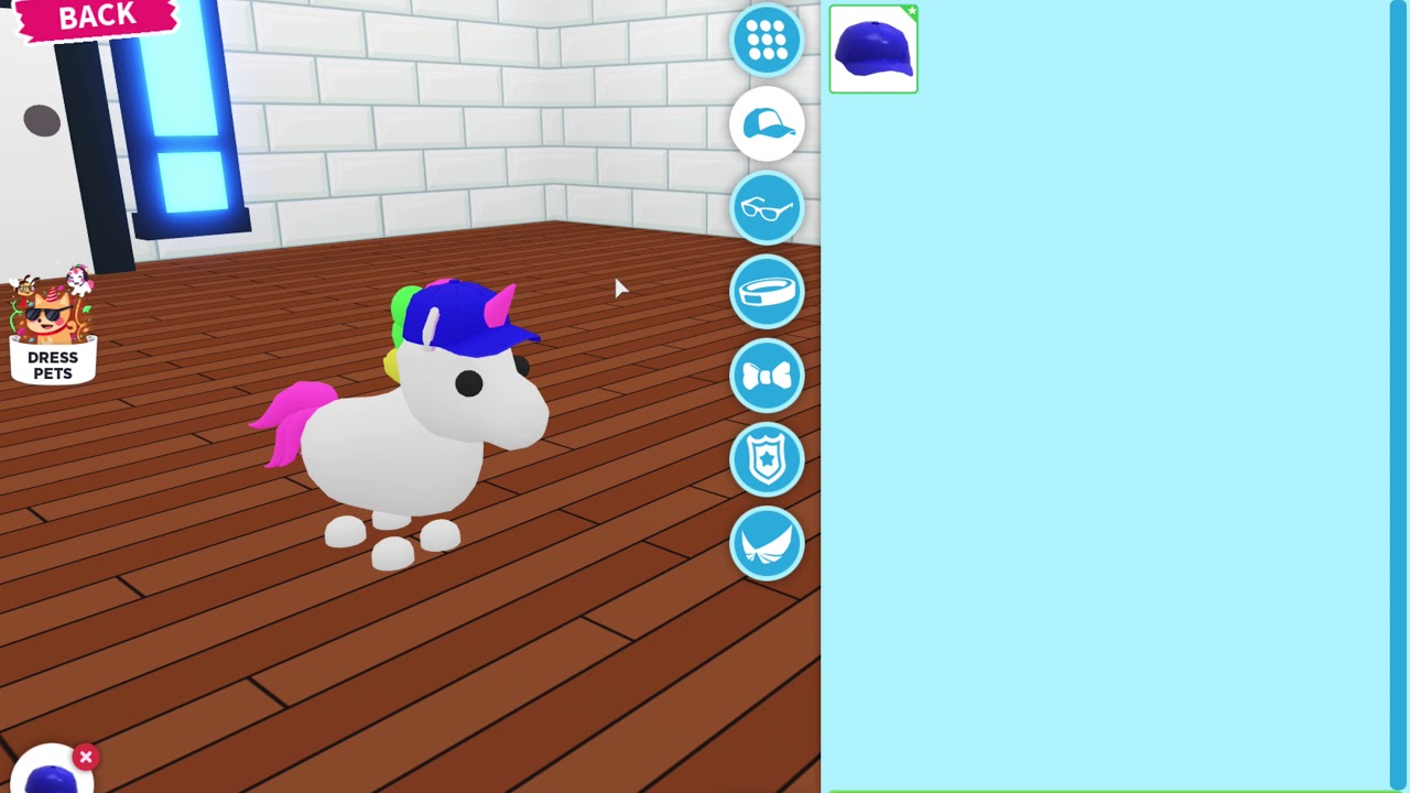 Roblox Adopt Me New Update Dress Your Pet - YouTube