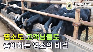 염소도, 고객님들도 좋아하는 염소의 비결?