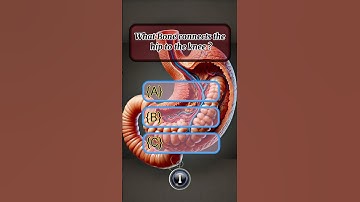 Science quiz #mindbendingquiz