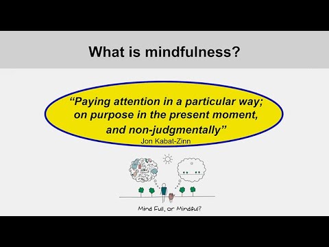 Video Psychology Of Human Misjudgement Video Psychology Of Human Misjudgement