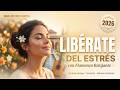 Vicente Amigo 😌 | Flamenco Relajante | ¿Cuánto Tardas en Relajarte? | 49 Min | Quejío Records 2026