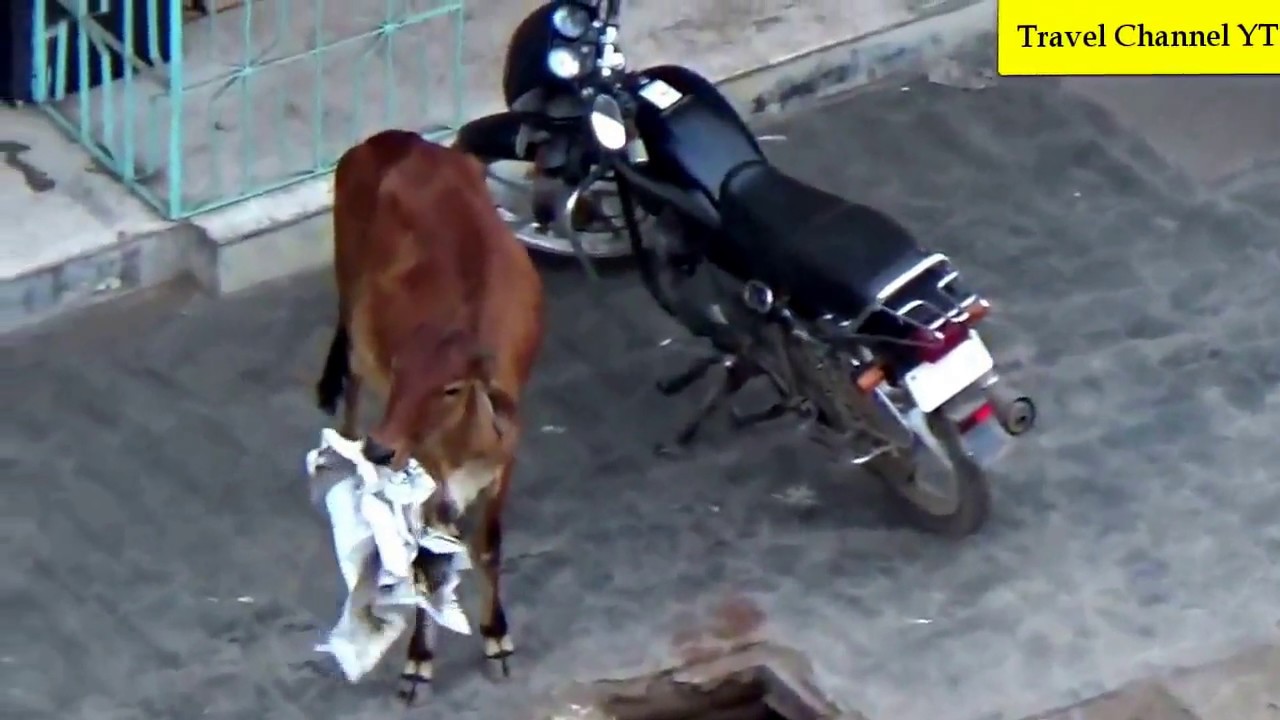 Khambhalia Taluka Street near Jamnagar and Dwarka  - ખંભાળીયા દર્શન