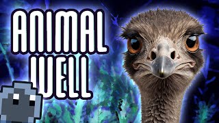 I'm Starting to Think the Ostriches are NOT NICE in ANIMAL WELL