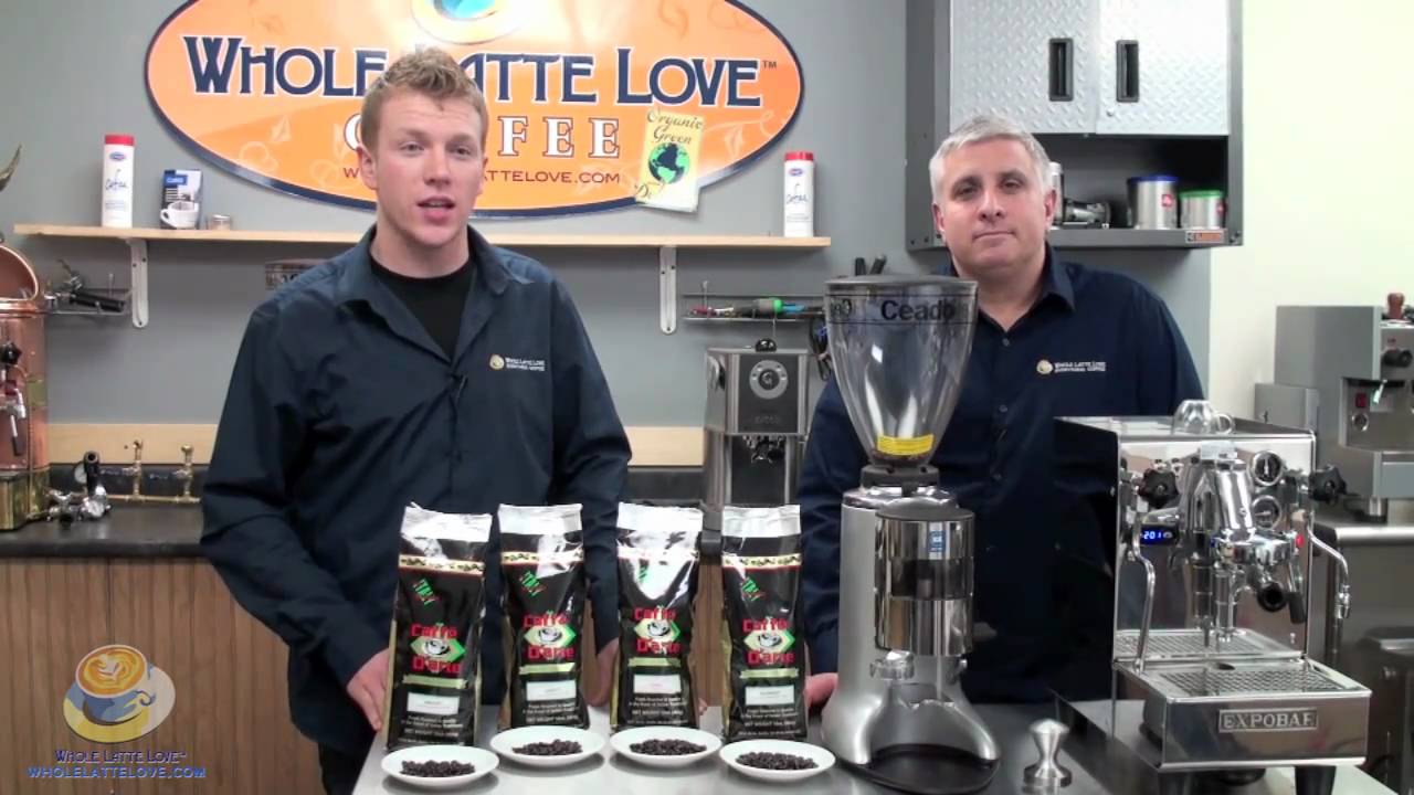 Caffe D'arte Coffee from Whole Latte Love