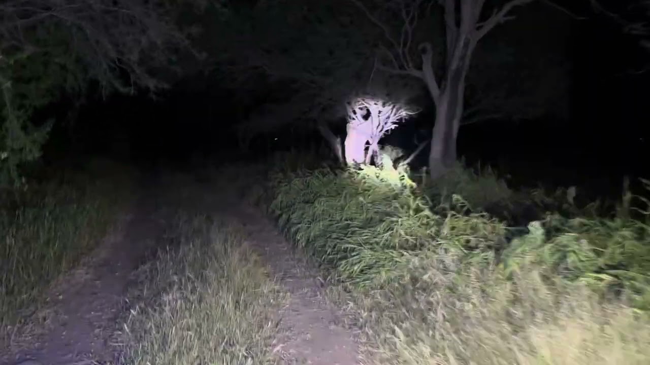 Un alma en pena nos guió asta donde estaba su tumba