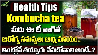 Nutrition expert reveals health benefits to drinking kombucha || Health Benefits || Mana Arogyam