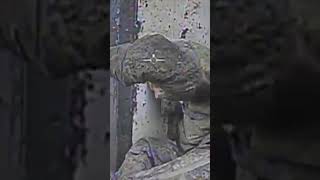 Відео з Покровська. ЗСУ виявили та ліквідували ворожу ДРГ